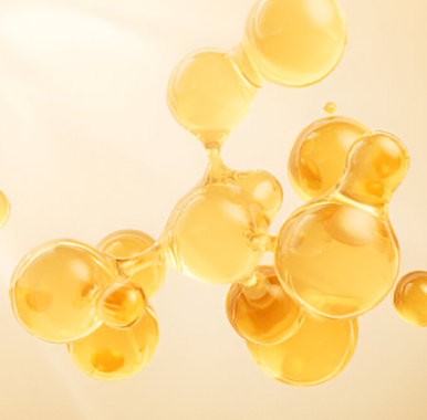 Collagène bovin de haute qualité